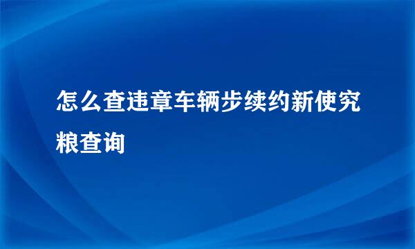 怎么查违章车辆步续约新使究粮查询