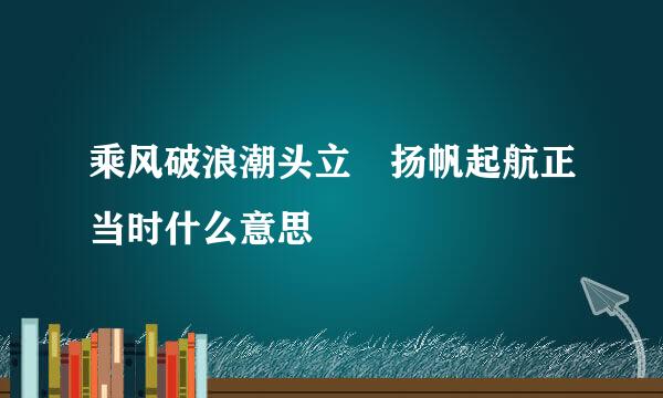 乘风破浪潮头立 扬帆起航正当时什么意思