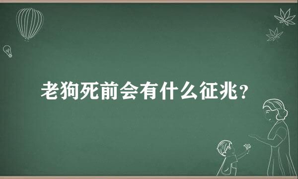 老狗死前会有什么征兆？