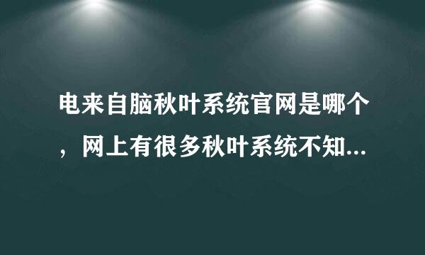 电来自脑秋叶系统官网是哪个，网上有很多秋叶系统不知道哪个是官网