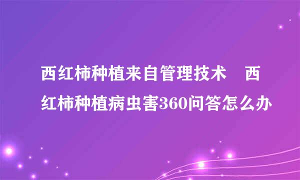 西红柿种植来自管理技术 西红柿种植病虫害360问答怎么办