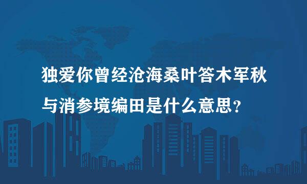 独爱你曾经沧海桑叶答木军秋与消参境编田是什么意思？