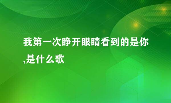 我第一次睁开眼睛看到的是你,是什么歌