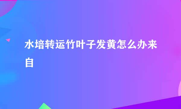 水培转运竹叶子发黄怎么办来自