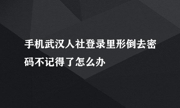 手机武汉人社登录里形倒去密码不记得了怎么办