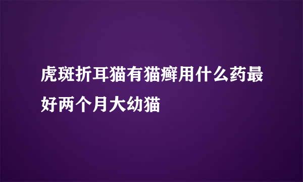 虎斑折耳猫有猫癣用什么药最好两个月大幼猫