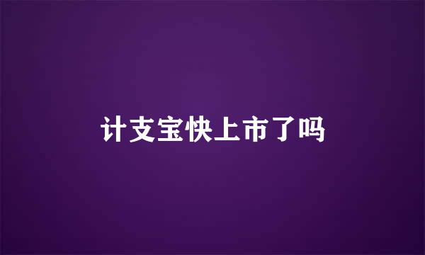 计支宝快上市了吗