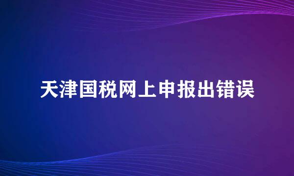 天津国税网上申报出错误