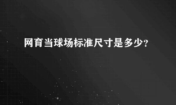 网育当球场标准尺寸是多少？