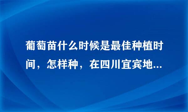 葡萄苗什么时候是最佳种植时间，怎样种，在四川宜宾地区容易活吗