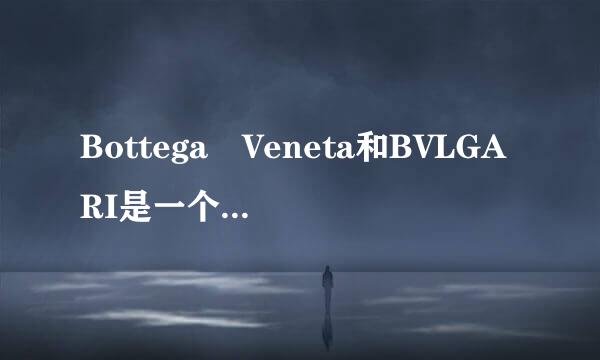 Bottega Veneta和BVLGARI是一个很牌子么，为什么都叫BV