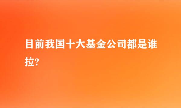 目前我国十大基金公司都是谁拉?