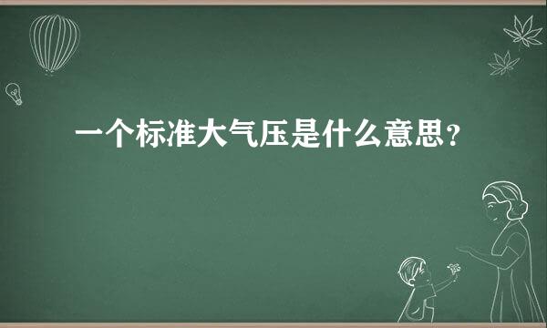 一个标准大气压是什么意思？