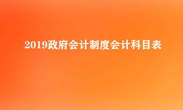 2019政府会计制度会计科目表