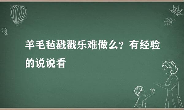 羊毛毡戳戳乐难做么？有经验的说说看