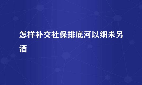 怎样补交社保排底河以细未另酒