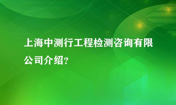 上海中测行工程检测咨询有限公司介绍？