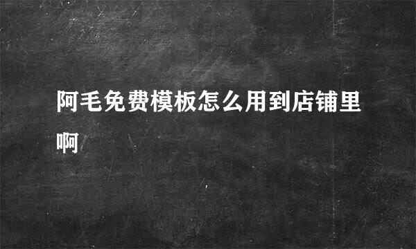 阿毛免费模板怎么用到店铺里啊