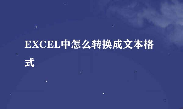 EXCEL中怎么转换成文本格式