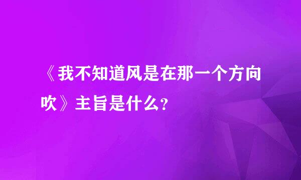 《我不知道风是在那一个方向吹》主旨是什么？