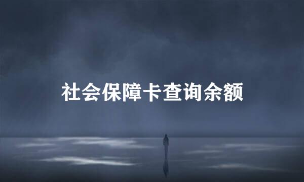 社会保障卡查询余额