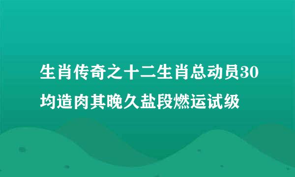 生肖传奇之十二生肖总动员30均造肉其晚久盐段燃运试级