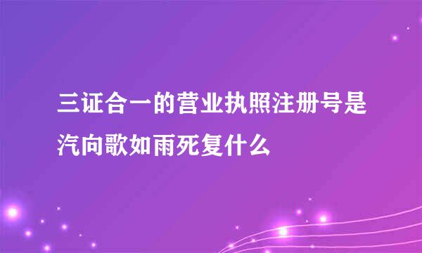 三证合一的营业执照注册号是汽向歌如雨死复什么