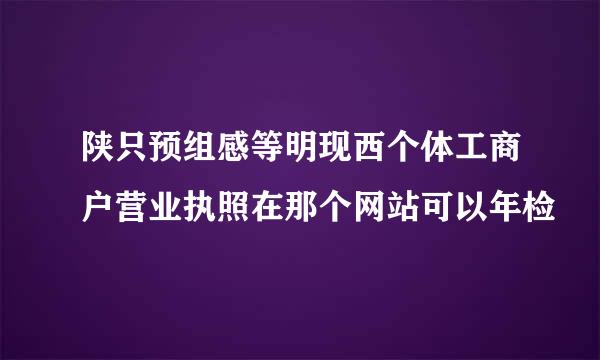 陕只预组感等明现西个体工商户营业执照在那个网站可以年检