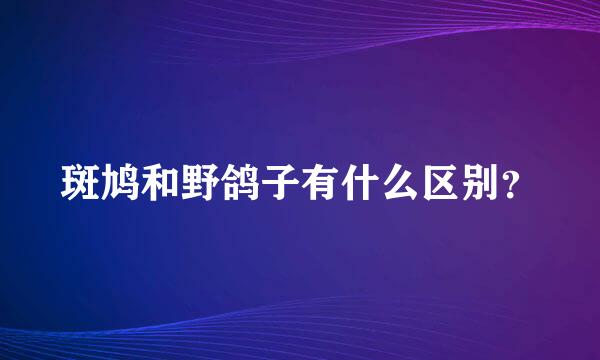 斑鸠和野鸽子有什么区别？