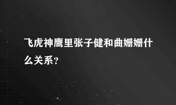 飞虎神鹰里张子健和曲姗姗什么关系？