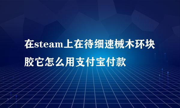 在steam上在待细速械木环块胶它怎么用支付宝付款