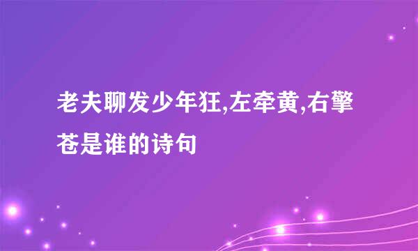 老夫聊发少年狂,左牵黄,右擎苍是谁的诗句