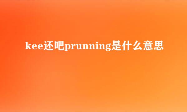 kee还吧prunning是什么意思