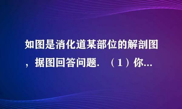 如图是消化道某部位的解剖图，据图回答问题．（1）你能说出这是消化来自道的哪个部位吗？（今杀2）在这个部位中有