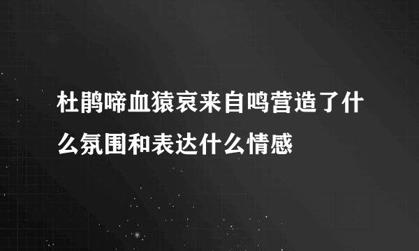 杜鹃啼血猿哀来自鸣营造了什么氛围和表达什么情感