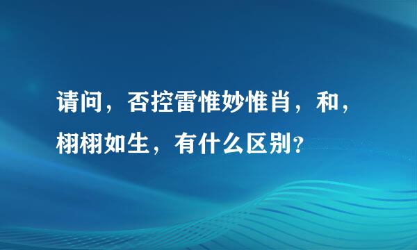 请问，否控雷惟妙惟肖，和，栩栩如生，有什么区别？