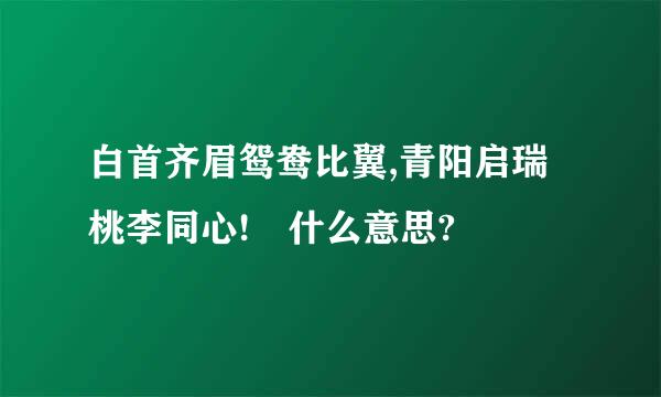 白首齐眉鸳鸯比翼,青阳启瑞桃李同心! 什么意思?