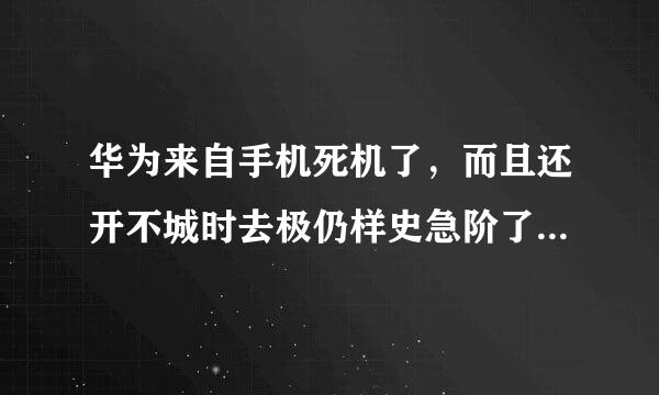 华为来自手机死机了，而且还开不城时去极仍样史急阶了机，怎么办？