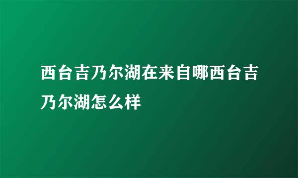 西台吉乃尔湖在来自哪西台吉乃尔湖怎么样