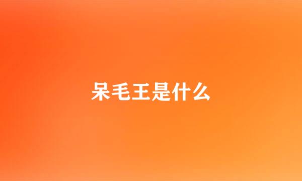 呆毛王是什么