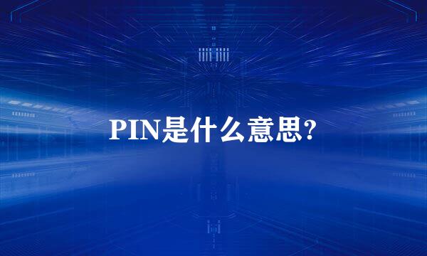 PIN是什么意思?