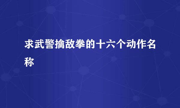 求武警擒敌拳的十六个动作名称