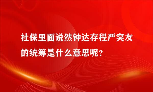 社保里面说然钟达存程严突友的统筹是什么意思呢？