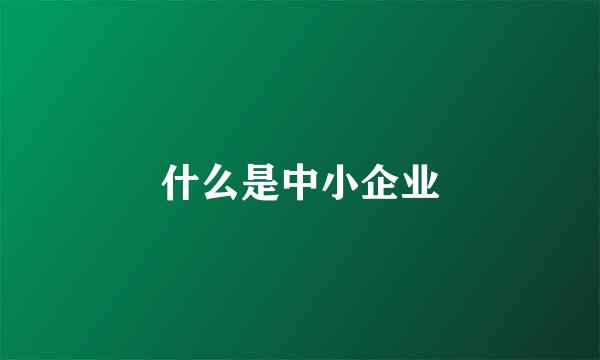 什么是中小企业