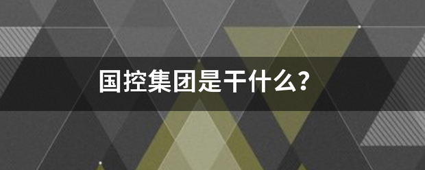 国控集团是干什么？