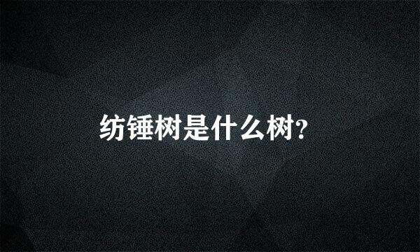 纺锤树是什么树？