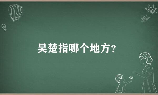 吴楚指哪个地方？