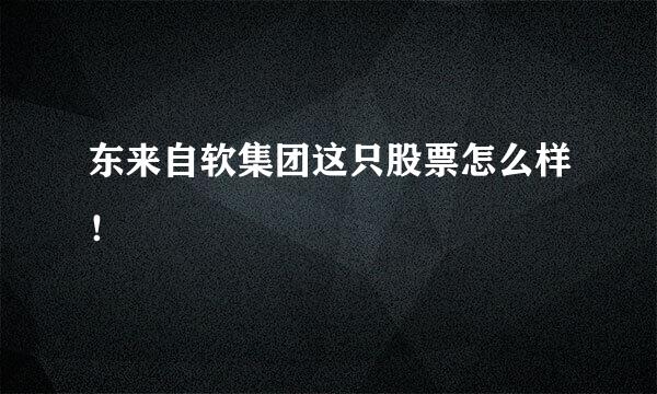 东来自软集团这只股票怎么样！