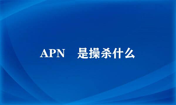 APN 是操杀什么