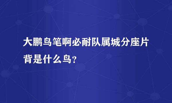 大鹏鸟笔啊必耐队属城分座片背是什么鸟？